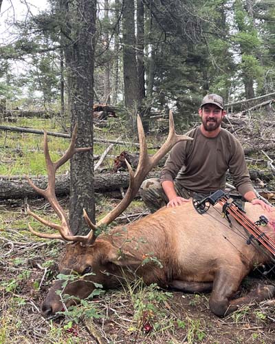 Hunt New Mexico Bull Elk