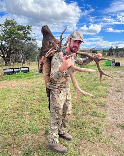 Hunt New Mexico Bull Elk