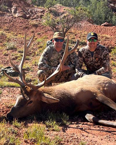 Bull Elk Hunting in New Mexico
