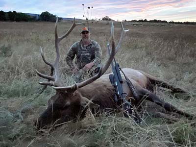 Hunt New Mexico Bull Elk