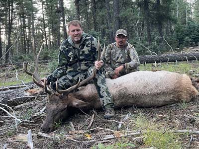 Hunt New Mexico Bull Elk